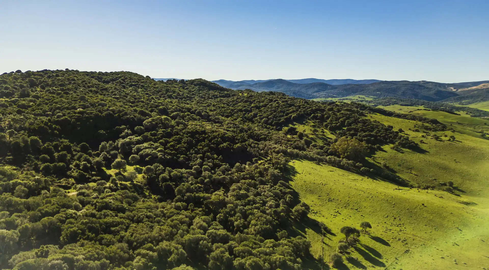 Finca rústica en venda en San Martín del Tesorillo amb Aire condicionat, Jardí privat i Terrassa