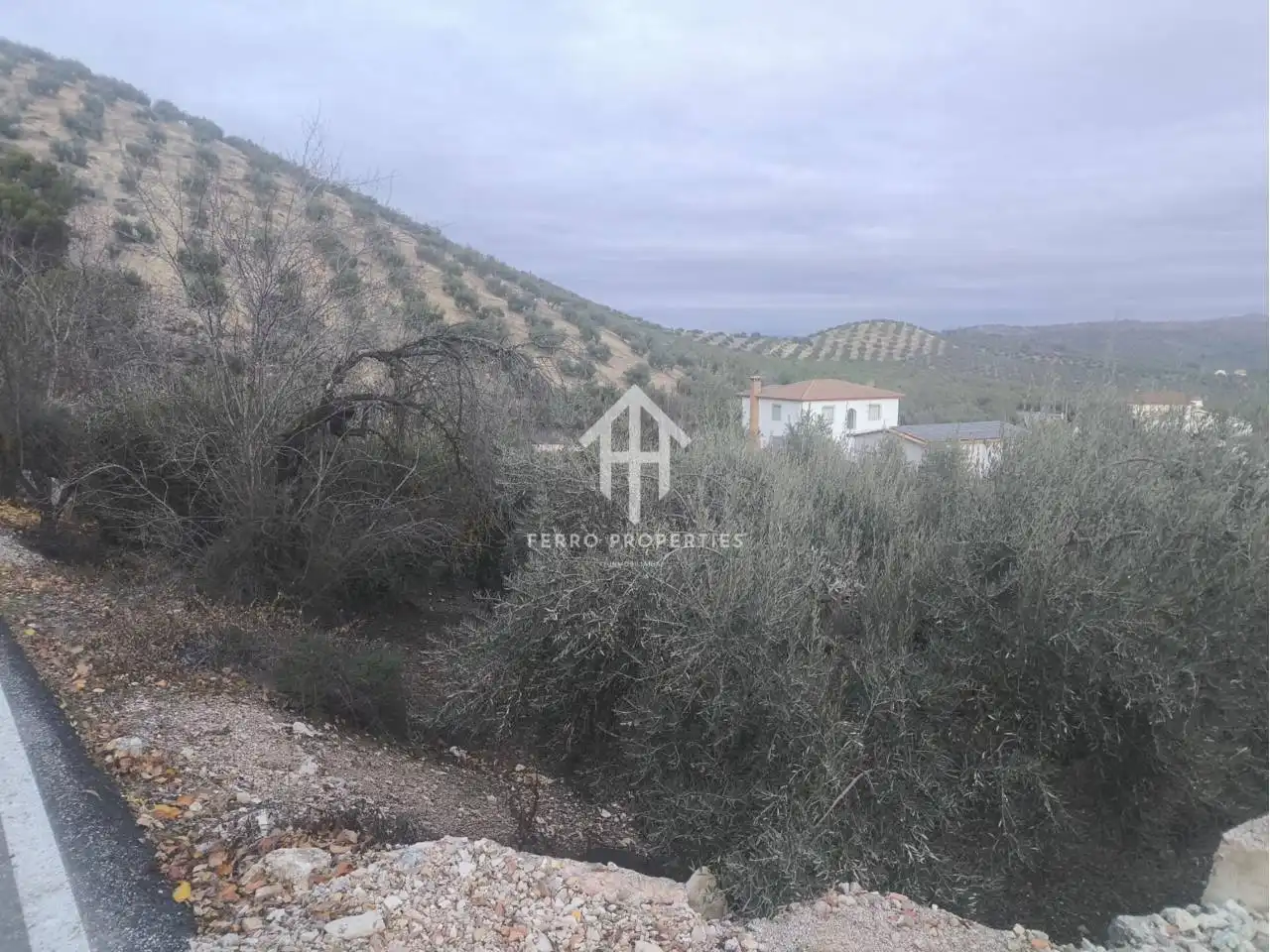 Terreny rústic en venda a Priego de Córdoba, imagen 19
