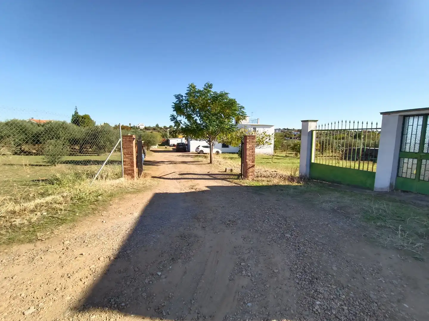 Land for sale in Sur