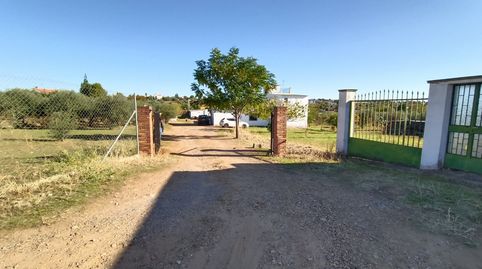 VENTA DE FINCA  EN EL TERMINO MUNICIPAL  DE MERIDA , CON VIVIENDA Y PISCINA ., immagine 2