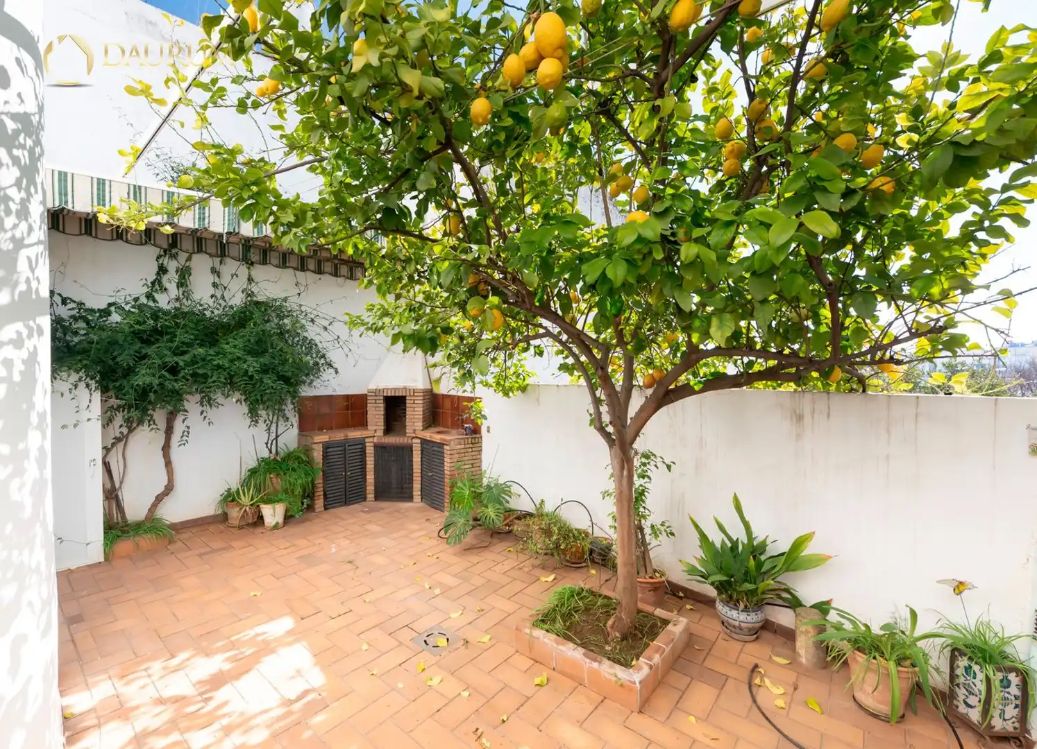 Jardí de Casa o xalet en venda en Alcalá de Guadaira amb Aire condicionat, Calefacció i Terrassa