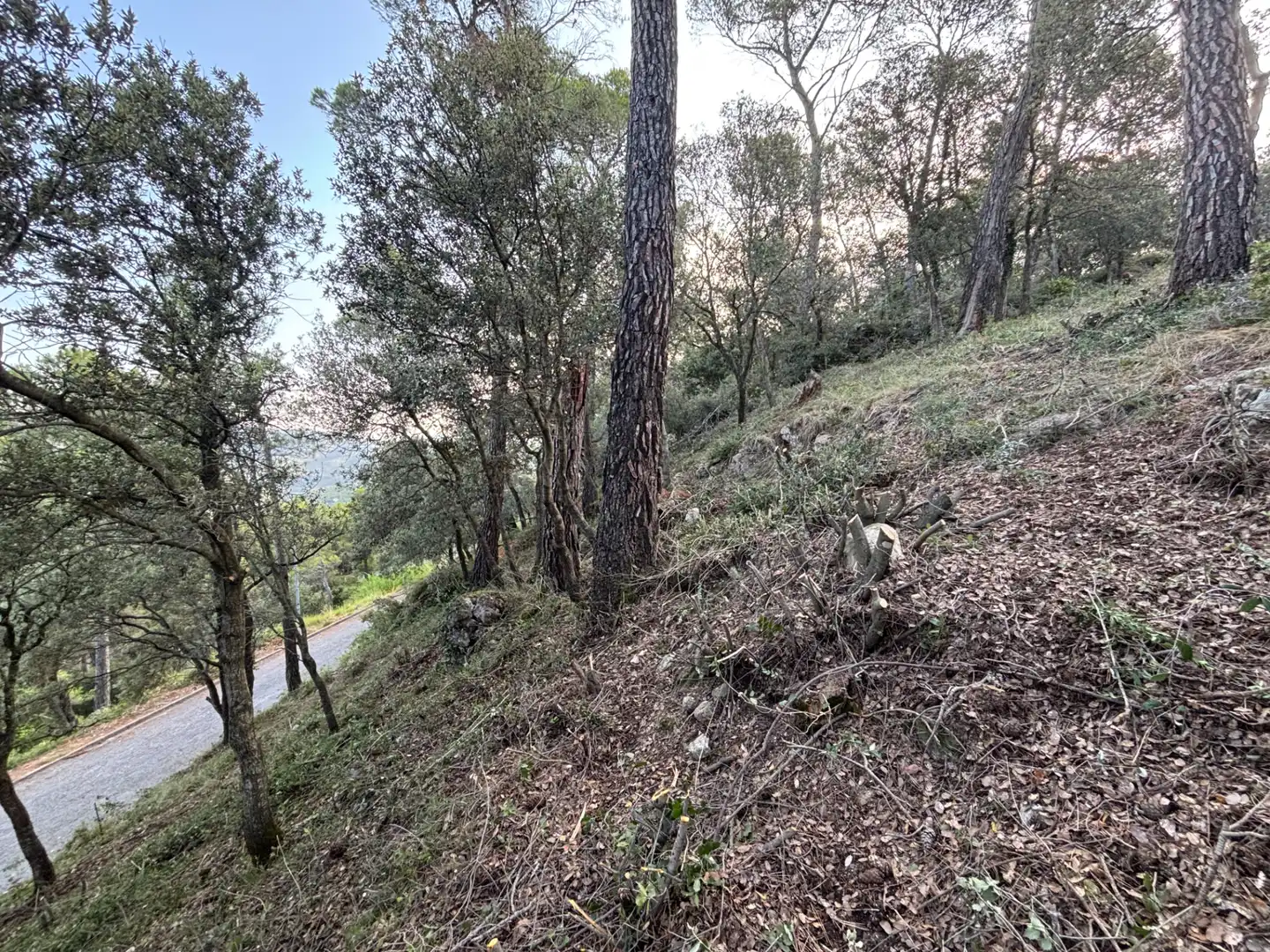 Residential land for sale in Carrer Pasarell, imagen 7