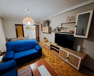 Sala d'estar de Pis de lloguer en León Capital  amb Parquet, Moblat i Forn