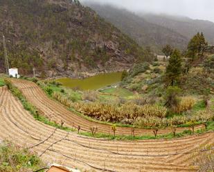 Jardí de Finca rústica en venda en Artenara amb Terrassa