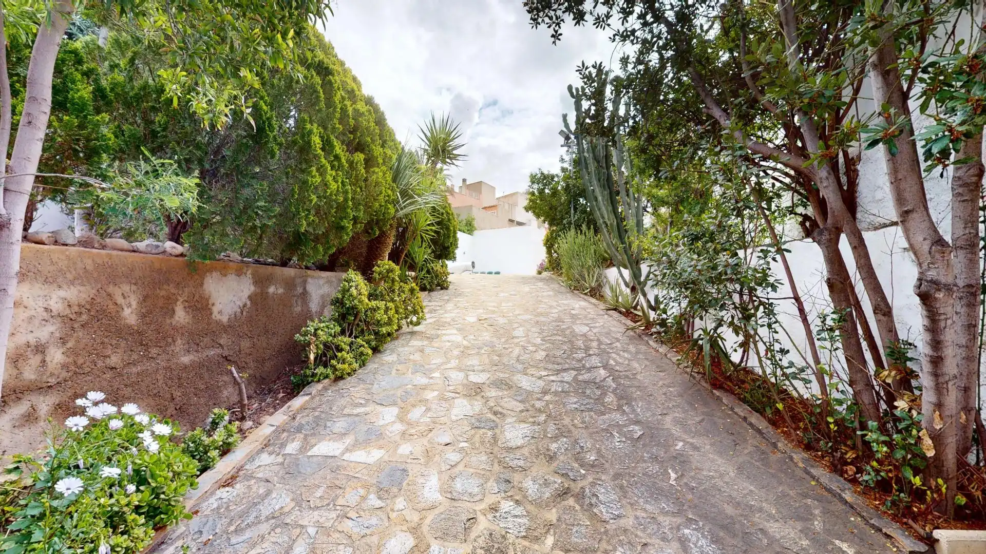 Vista exterior de Casa o chalet en venta en Murcia