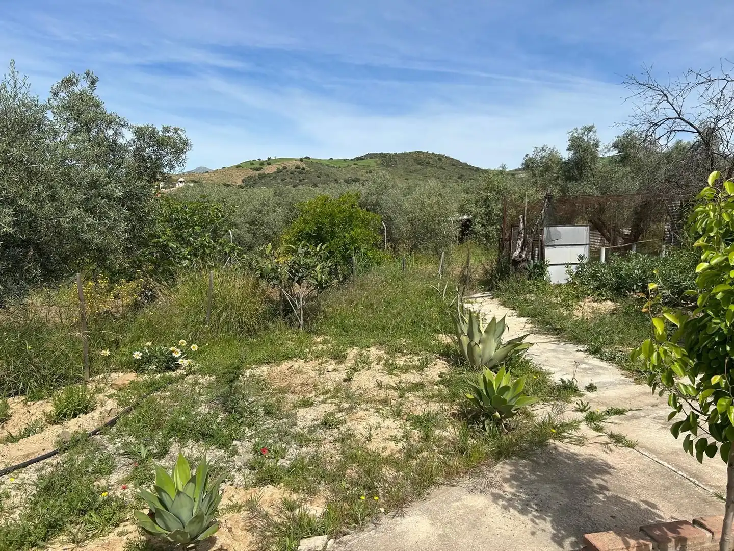 Haus mit Garten zum Verkauf in atalaya, imagen 15