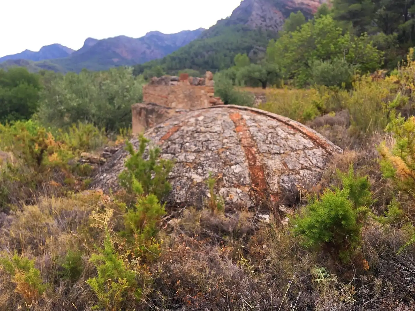 Vista exterior de Finca rústica en venda en Benifallet