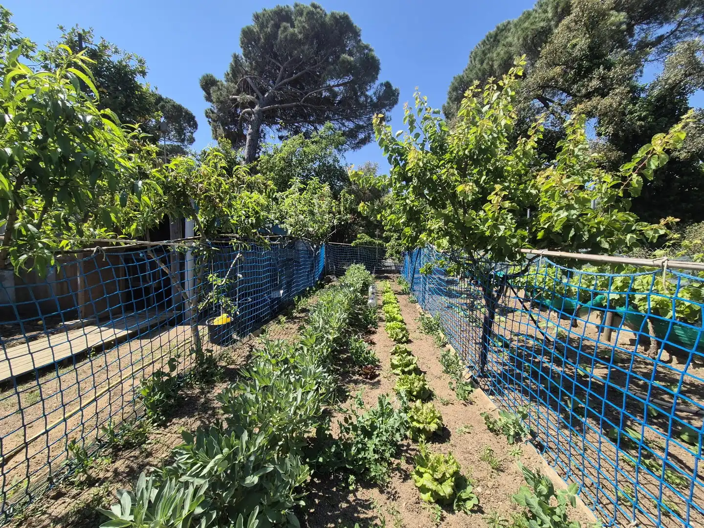 Garden of Houses for sale in Tordera  with Heating, Private garden and Terrace