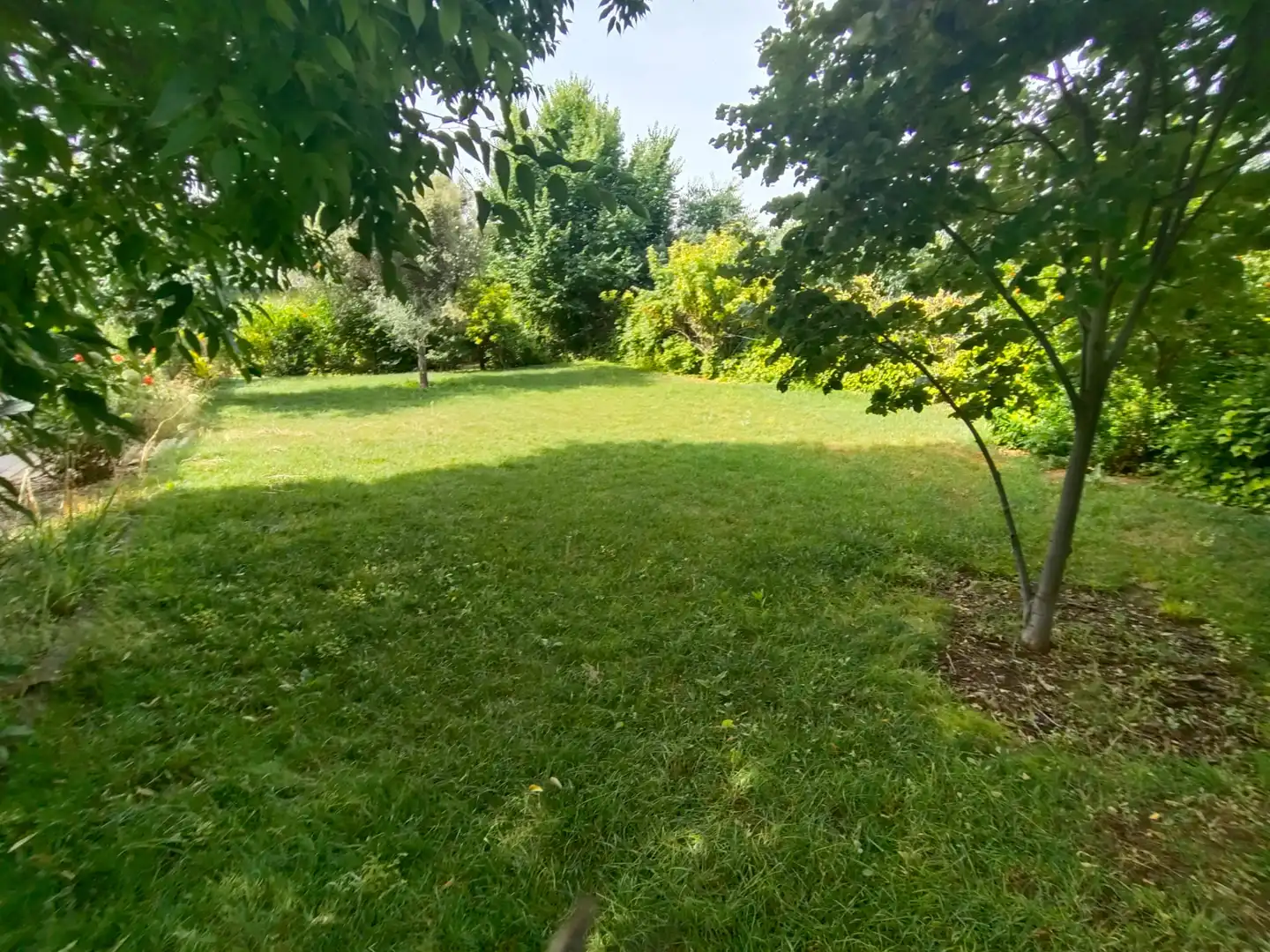Houses for sale in Calle el Carril, Morata de Tajuña