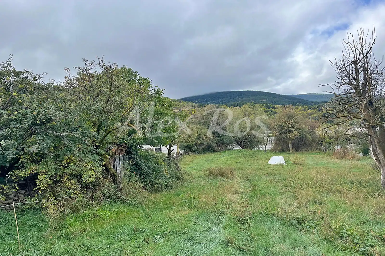 Terreno rústico en venta en AVENUE DU LAC, imagen 6