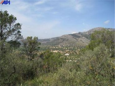 Terreno rustico in vendita a Bunyola