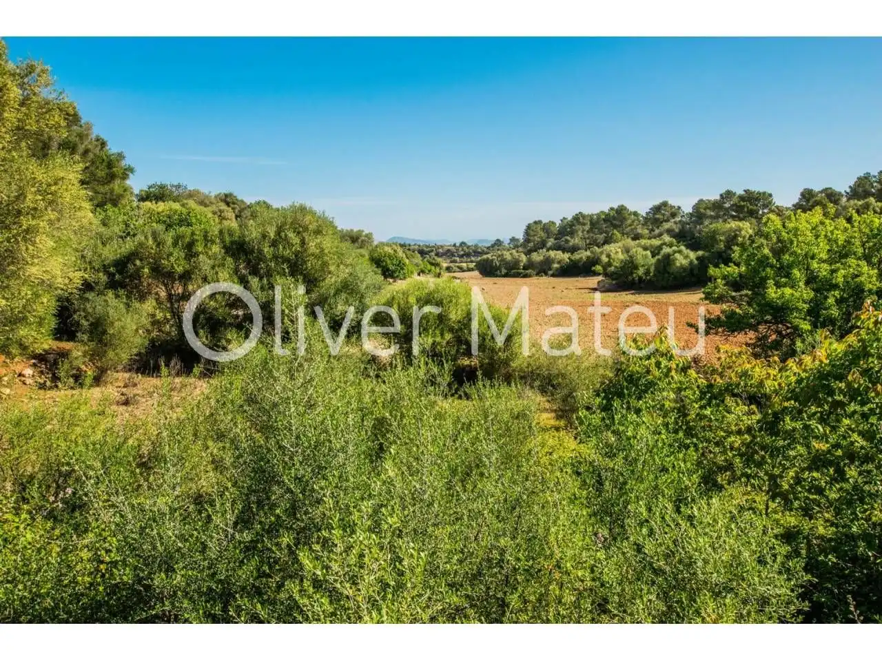 Casa o xalet en venda en Lloret de Vistalegre amb Jardí privat i Terrassa
