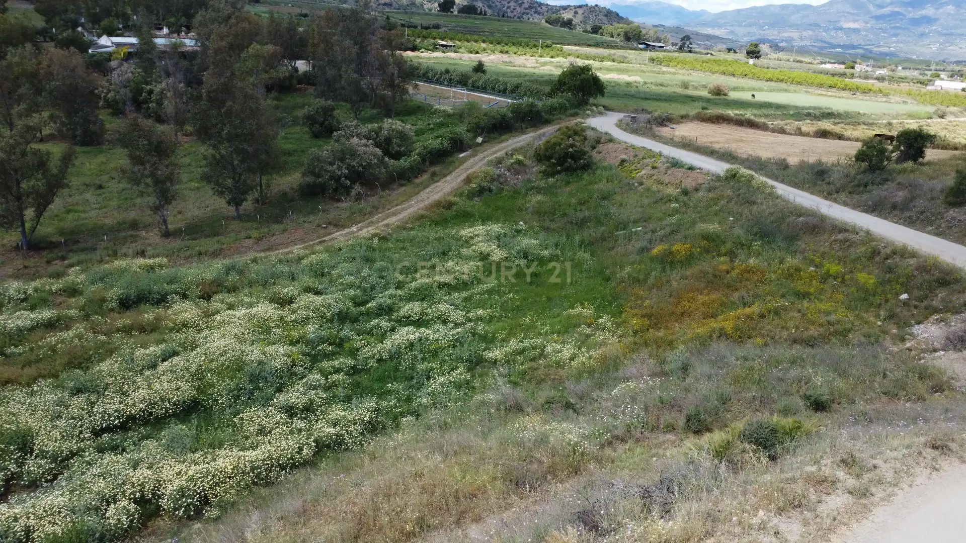 Terreni e lotti in vendita a Carretera Pista Confederación, Pizarra, Spain, imagen 27
