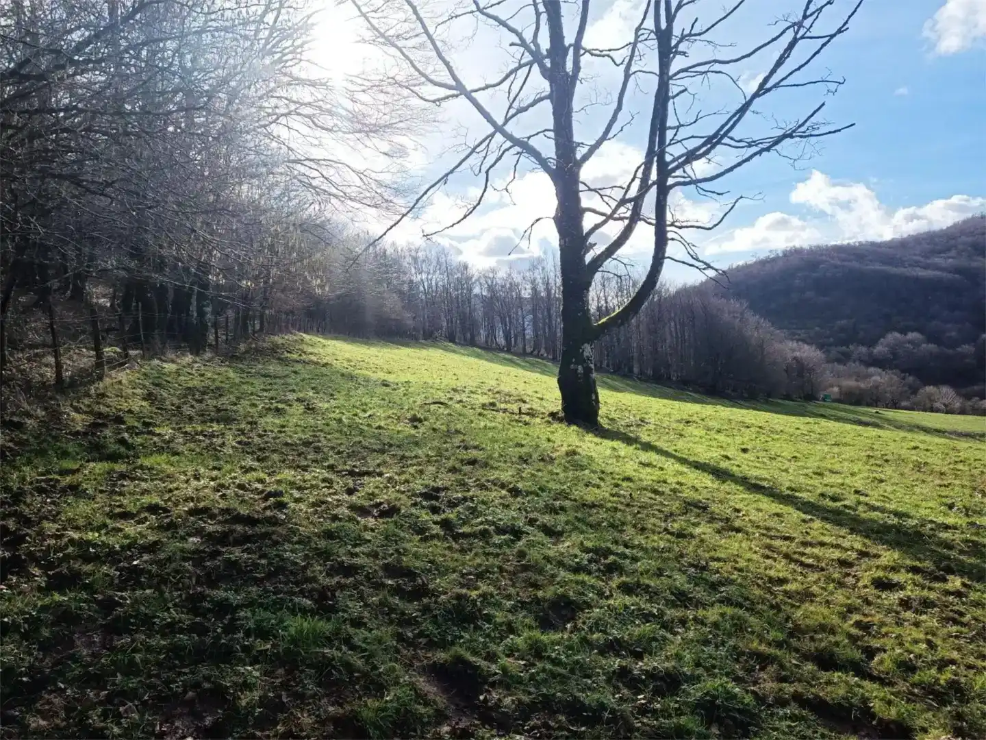 Terreno en venta en Larraun