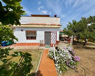 Garden of House or chalet for sale in Montcada i Reixac  with Private garden, Terrace and Storage room