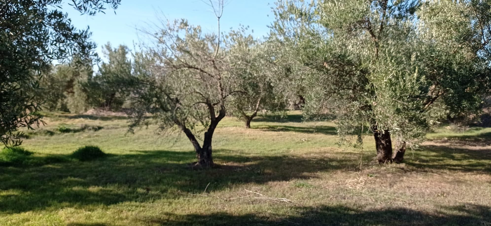 Terreno en venta en Lugros