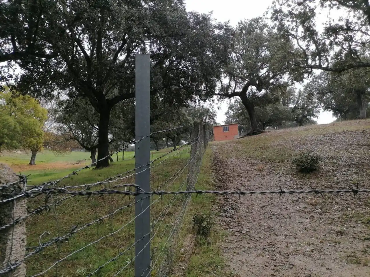 Terreno en venta en Poligono 1, La Alameda de Gardón