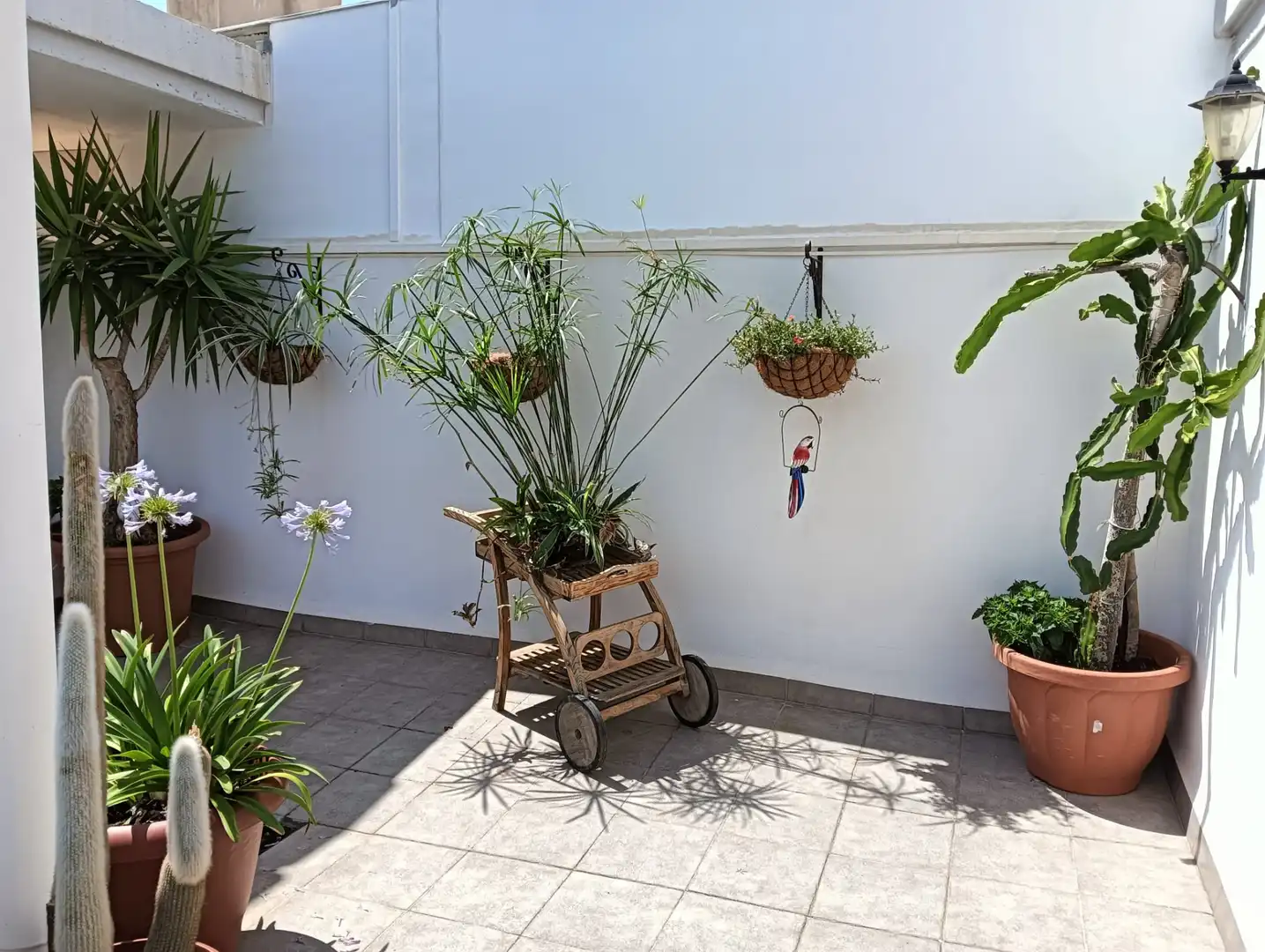 Terrasse von Wohnung zur Miete in Canet d'En Berenguer mit Klimaanlage, Abstellraum und Schwimmbad