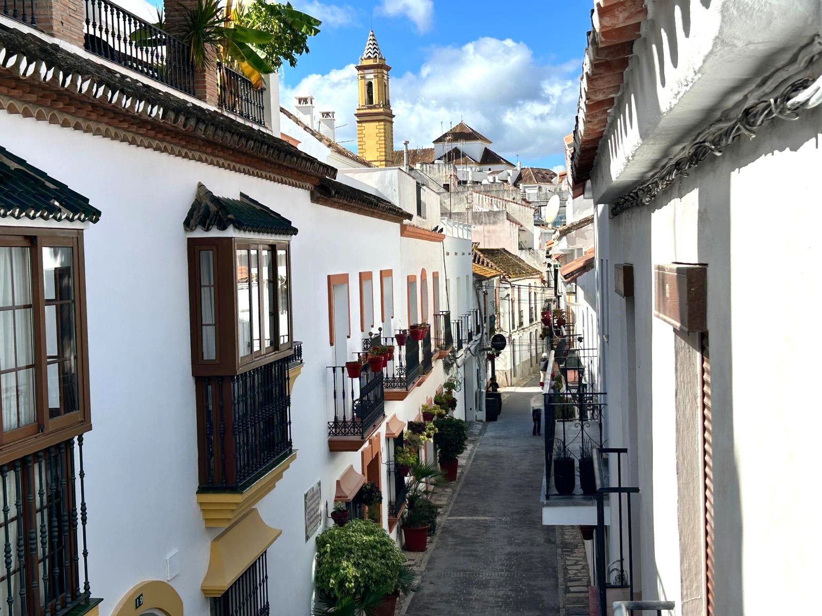 Vista exterior de Casa o chalet en venta en Estepona con Terraza