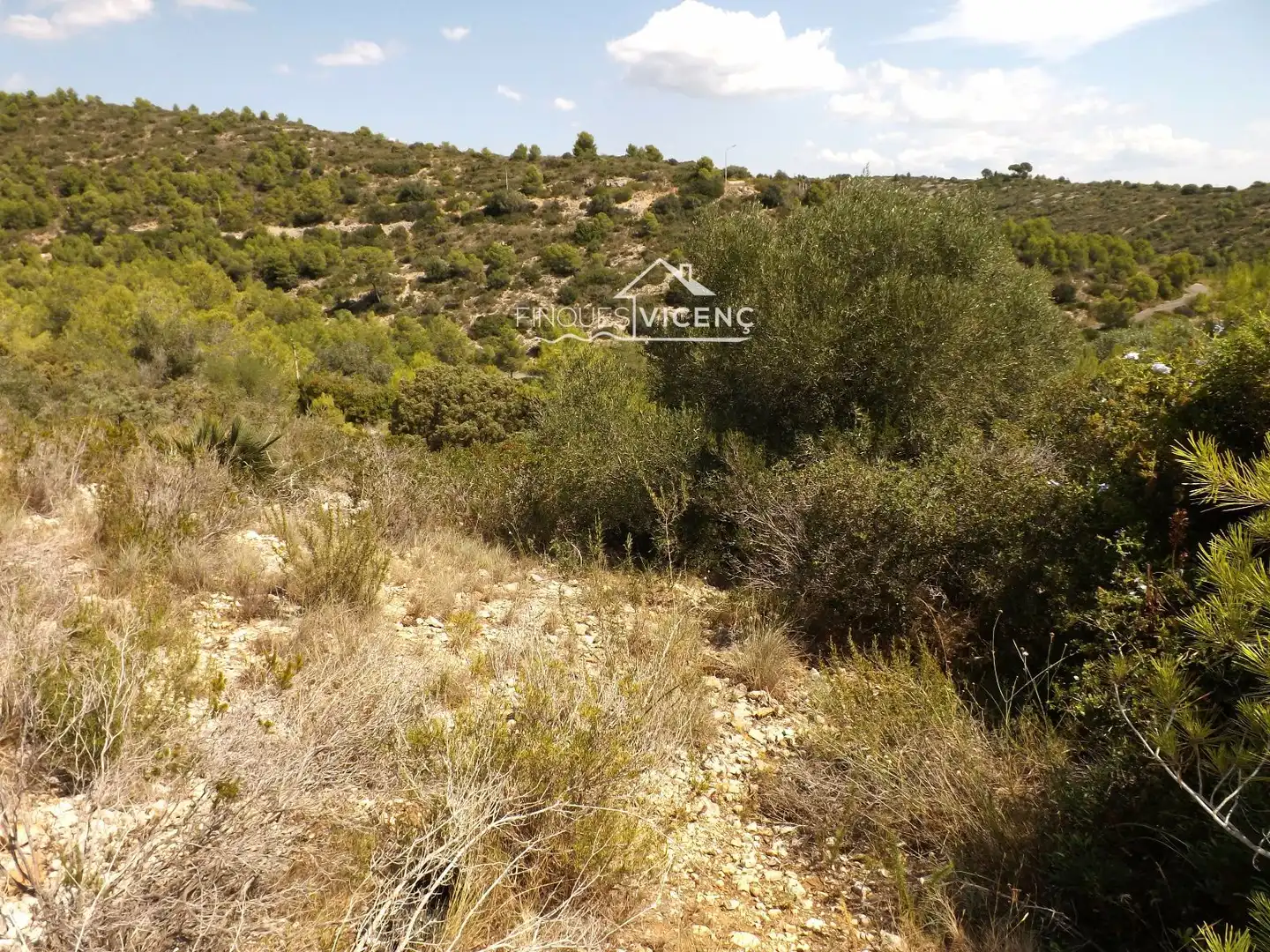 Terreno rustico in vendita a BOI, imagen 9