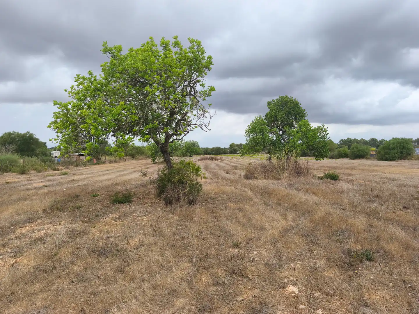 Terrain résidentiel à vendre à Algaida, imagen 8