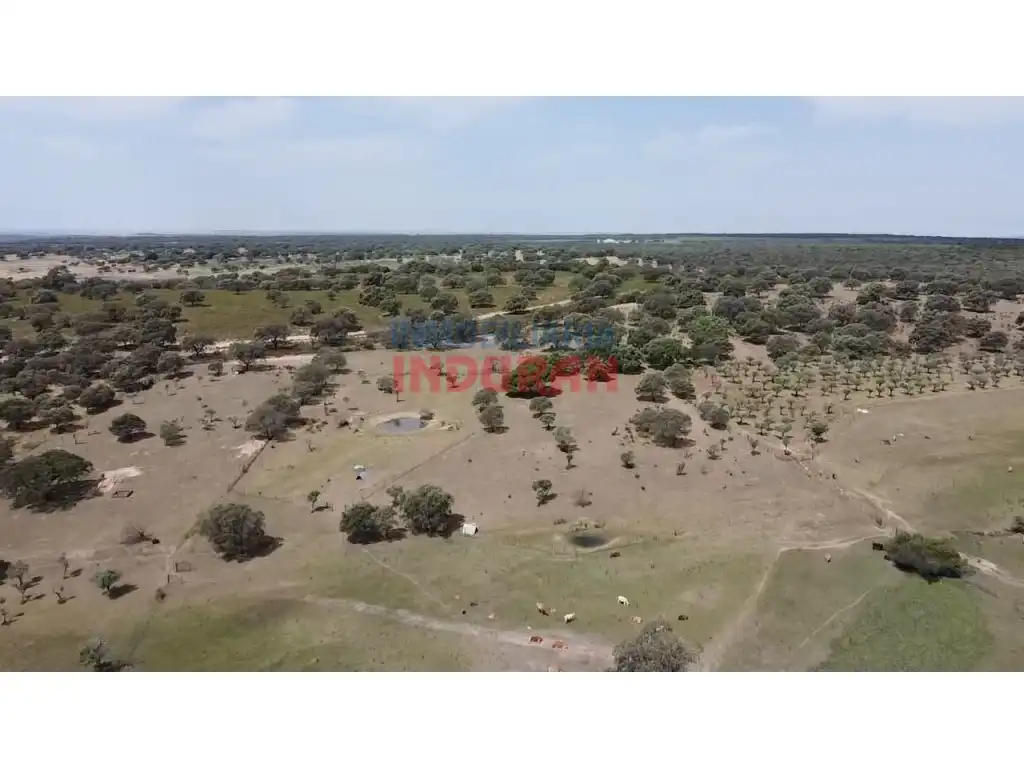 Finca rústica en venda en Talaván
