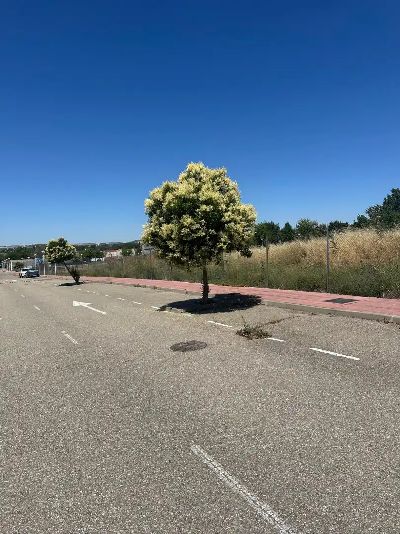 Residencial en venta en Cabezón de Pisuerga