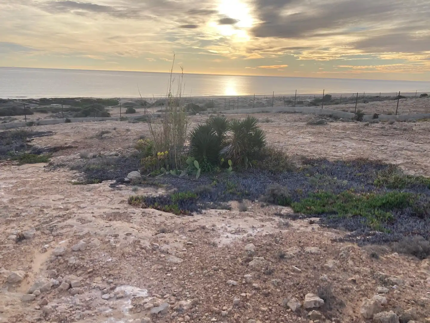 Casa o xalet en venda en Alicante / Alacant amb Jardí privat i Terrassa