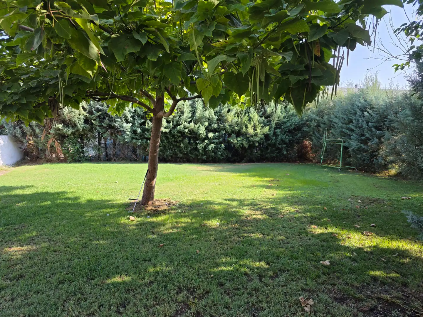 Villa mit Pool zum Verkauf in Parque de la Constitución 5a, imagen 17