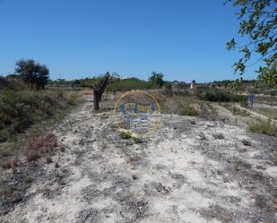 Residencial en venda en El Palomar