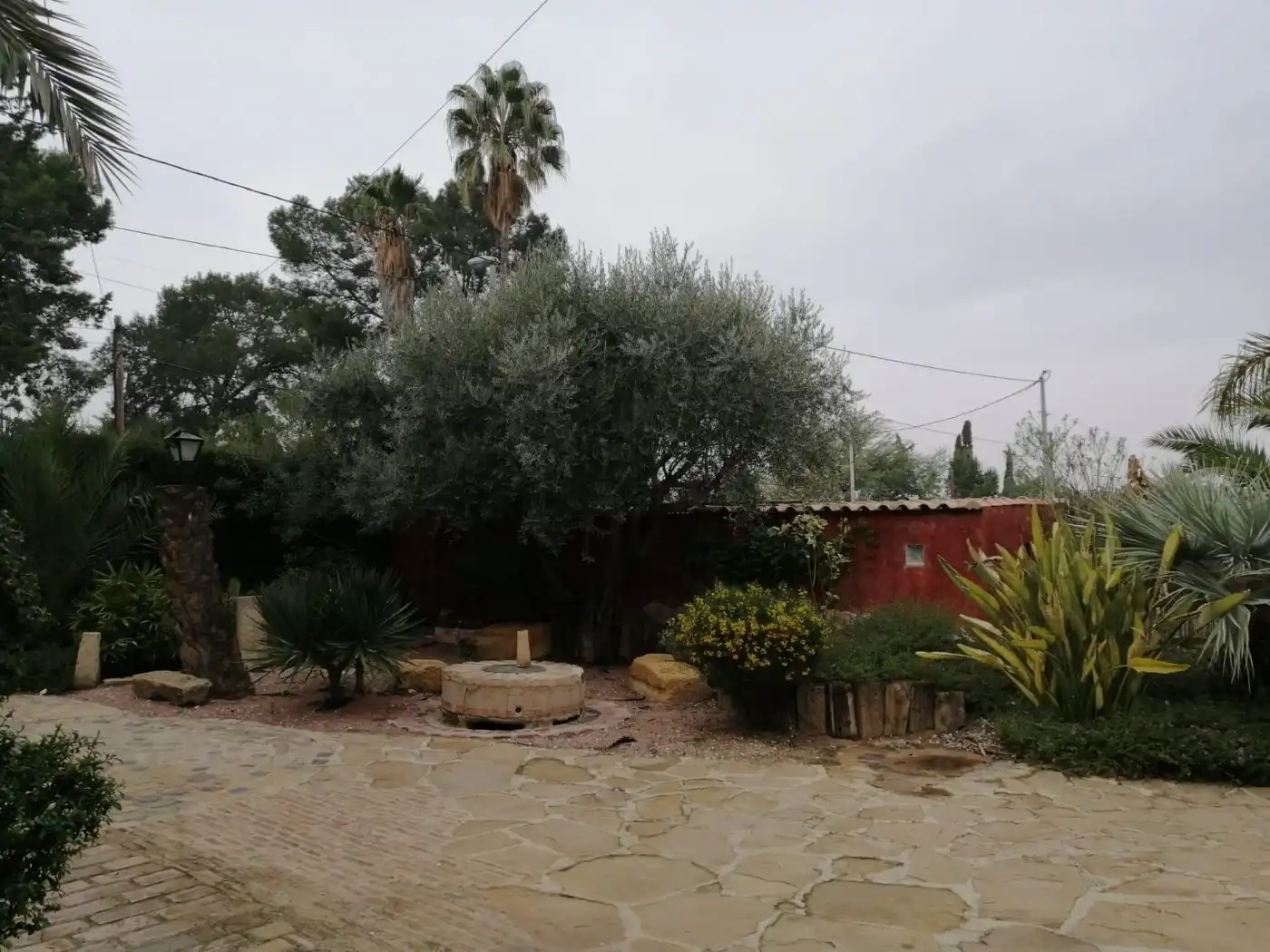 Jardí de Casa o xalet en venda en Murcia amb Calefacció, Jardí privat i Parquet