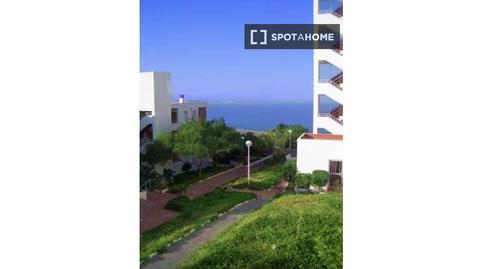 Foto 3 de Estudi per a compartir a Gran Vista - Olivo de Oro, Alicante