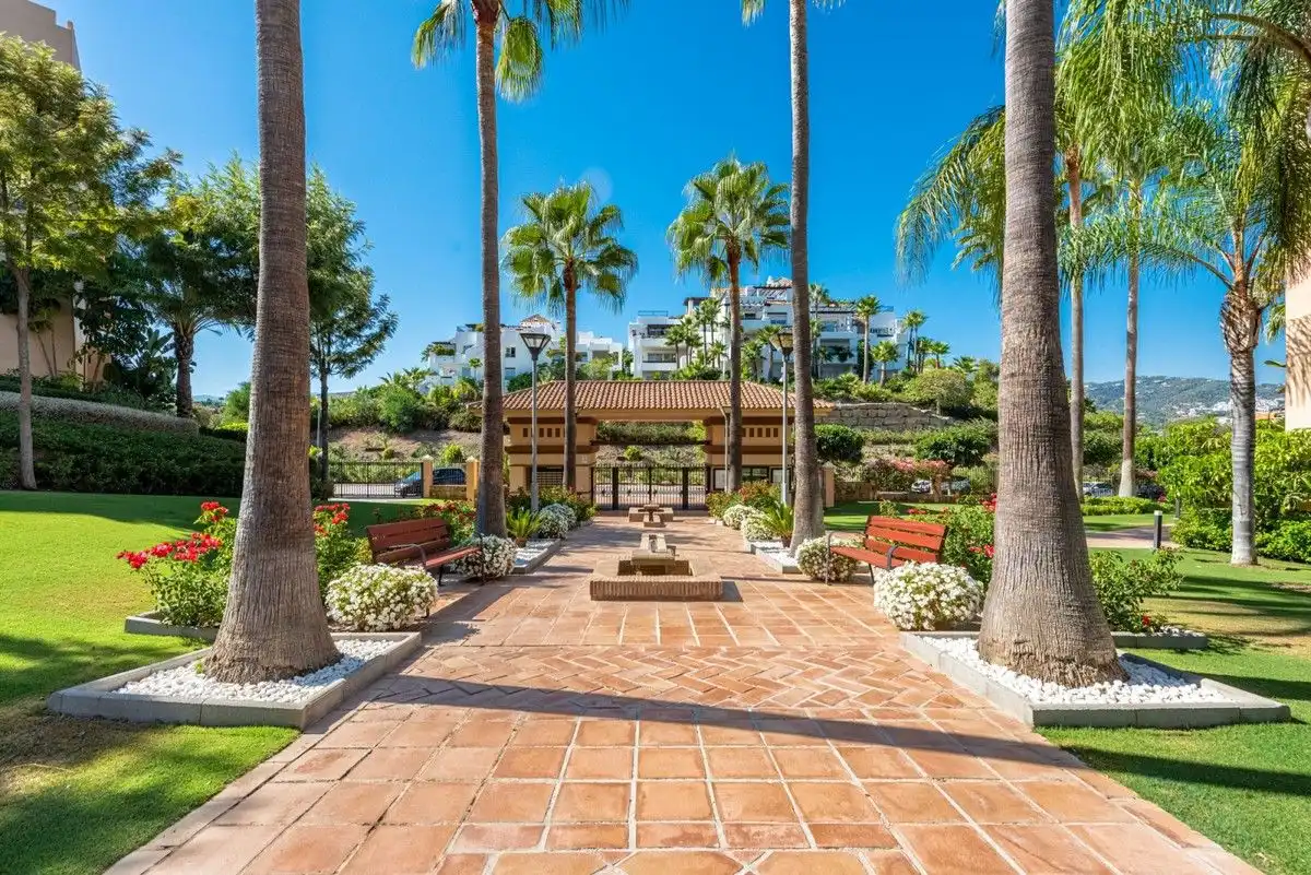 Penthouse with pool for sale in Calle la Pacheca Alta 22, imagen 34