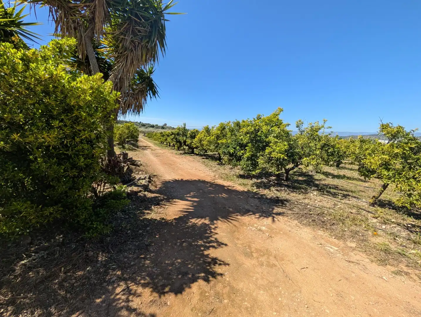 Grundstücke zum Verkauf in Ulldecona