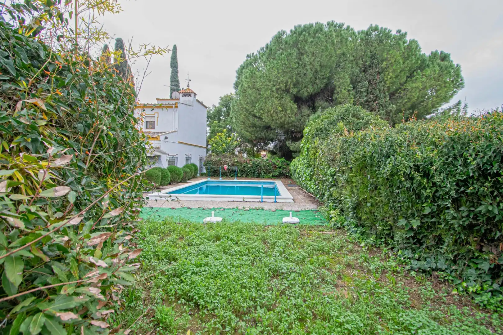 Jardí de Casa o xalet en venda en Espartinas amb Jardí privat, Terrassa i Traster