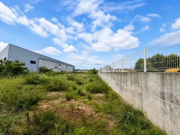 Industrial land for sale in Avinguda de Xàtiva, imagen 3
