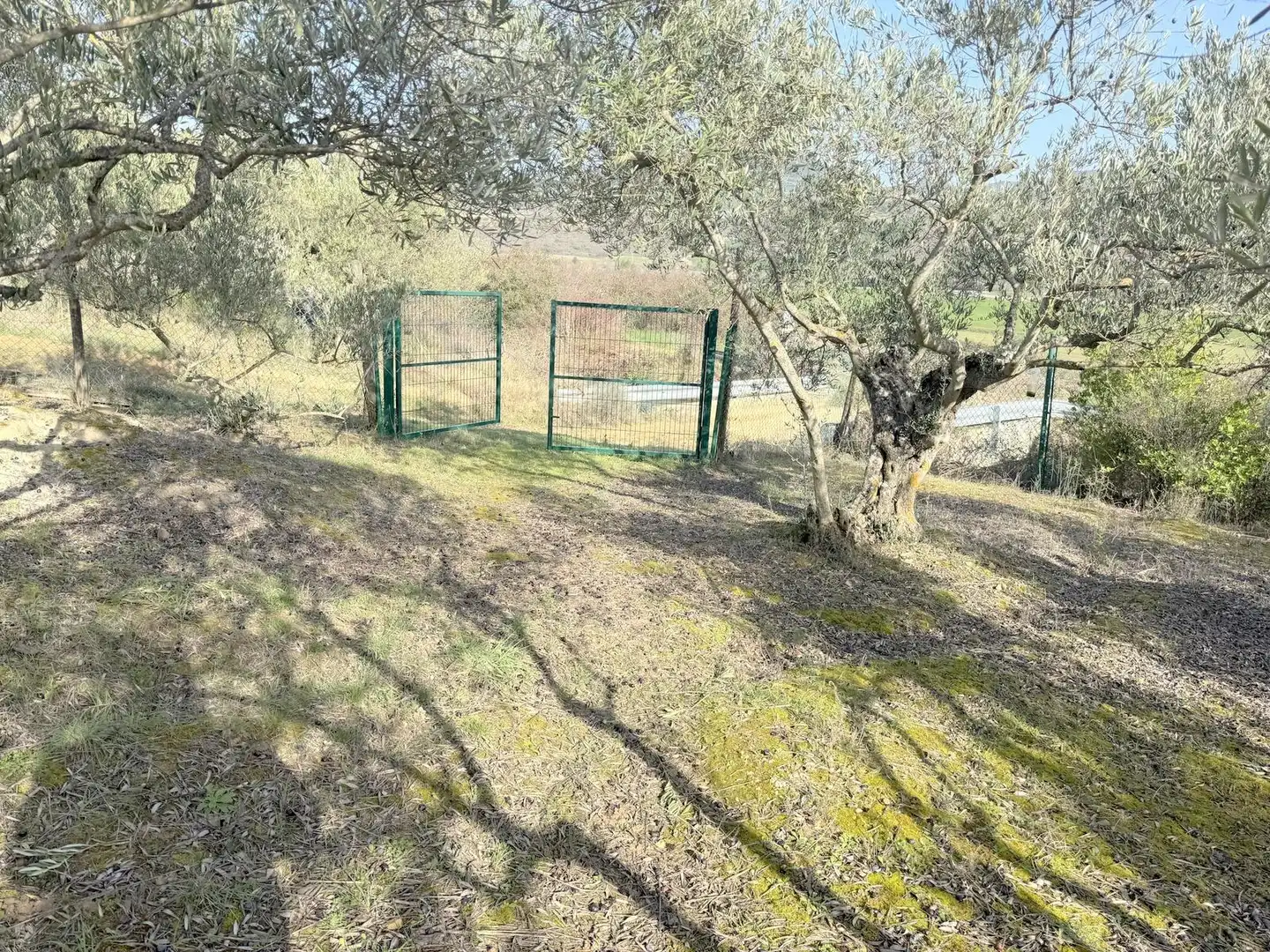 Terreno en venta en Cirauqui / Zirauki