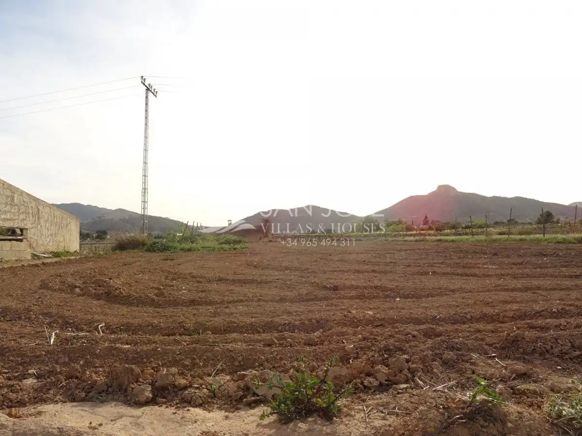 Houses for sale in Aspe  with Storage room