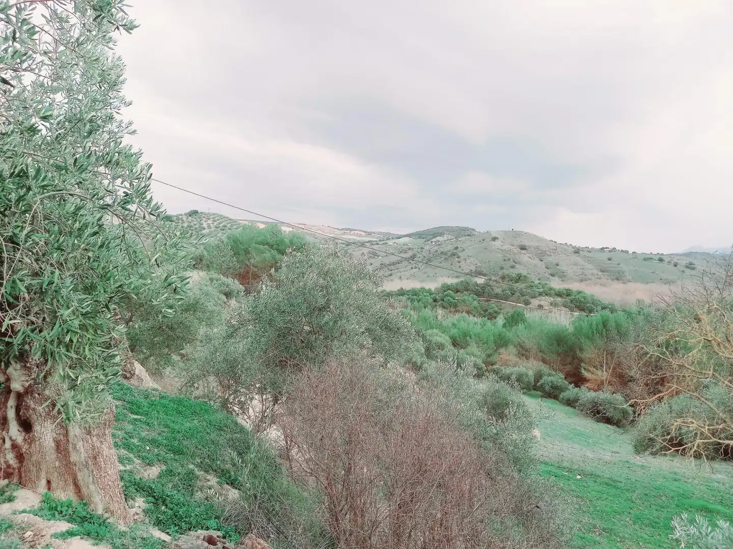 Terreni e lotti in vendita a Alhama de Granada, imagen 9