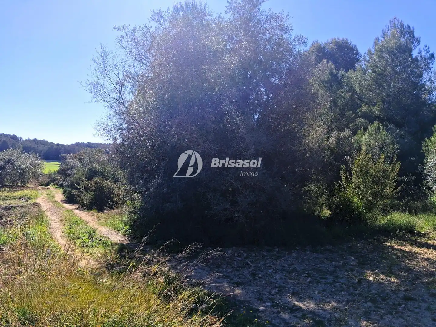 Rural land for sale in La Secuita