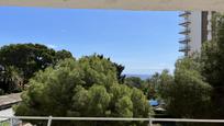 Jardí de Apartament en venda en Orihuela amb Jardí privat i Terrassa