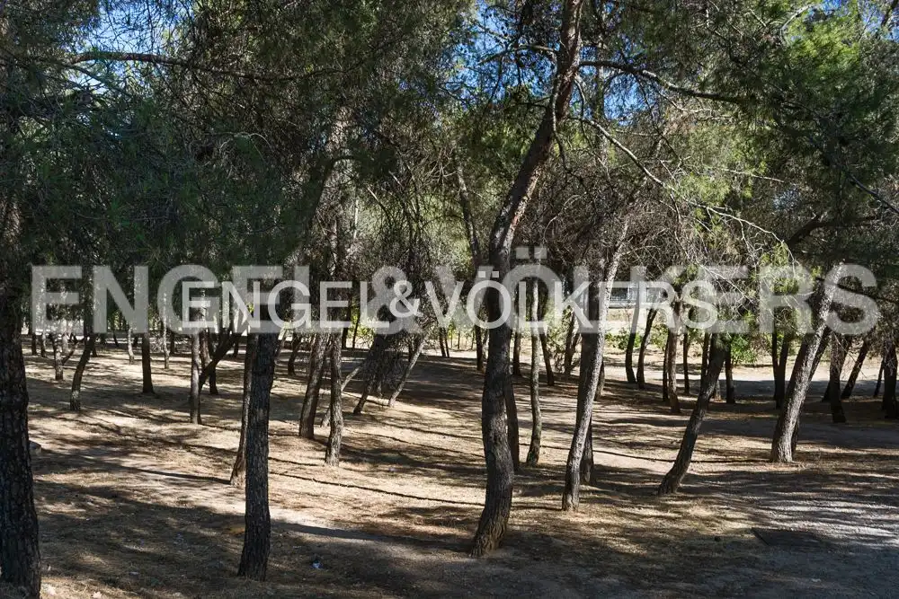 Houses for rent in Madrid  with Heating, Private garden and Terrace