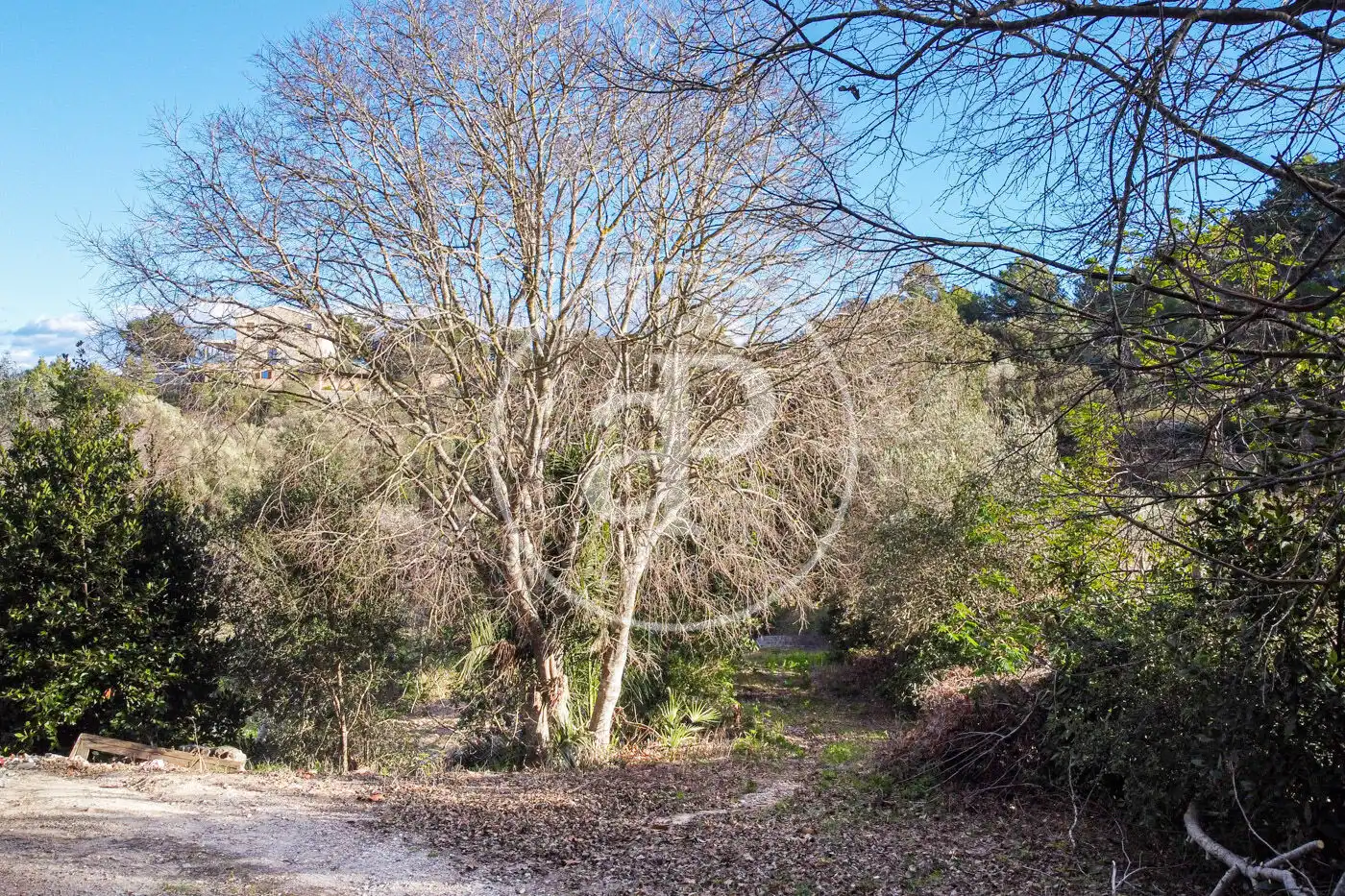 Residencial en venta en Santa Margalida