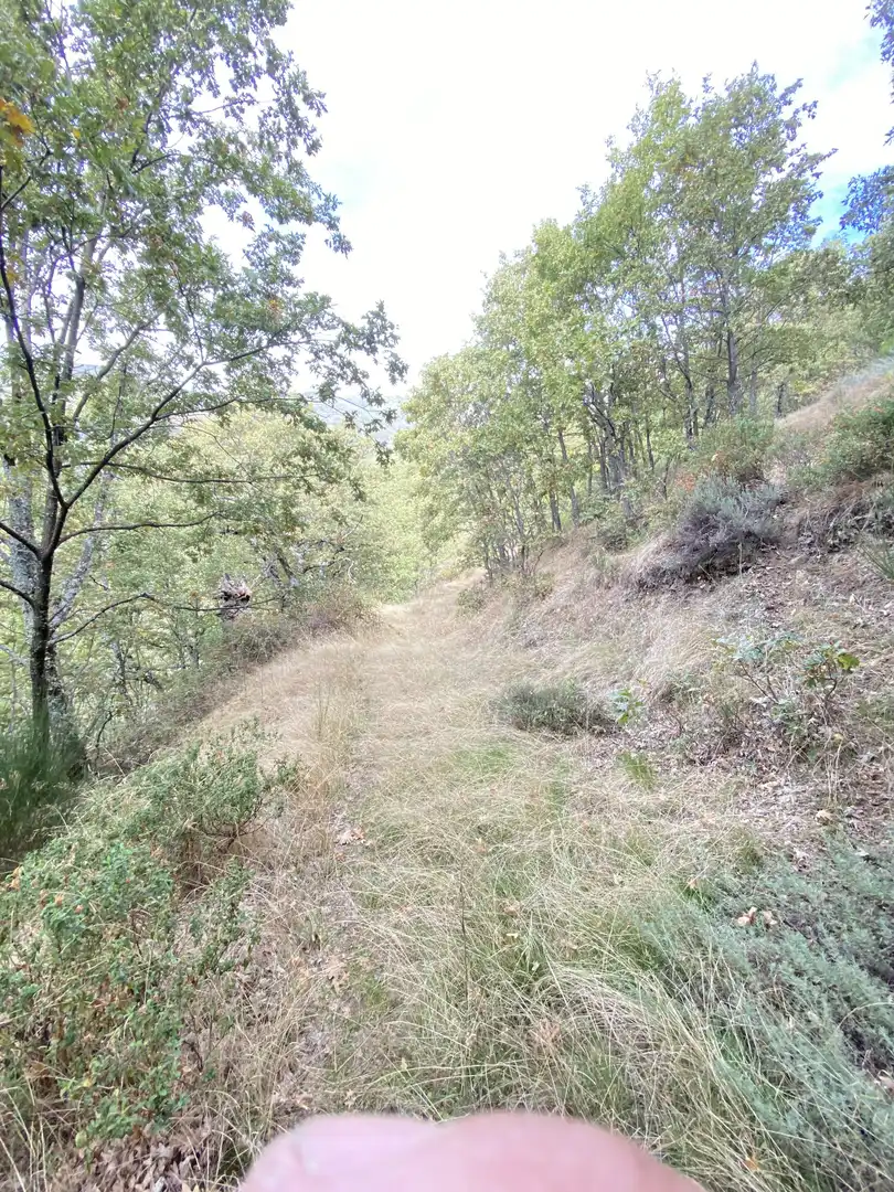 Terreno en venta en Tornavacas