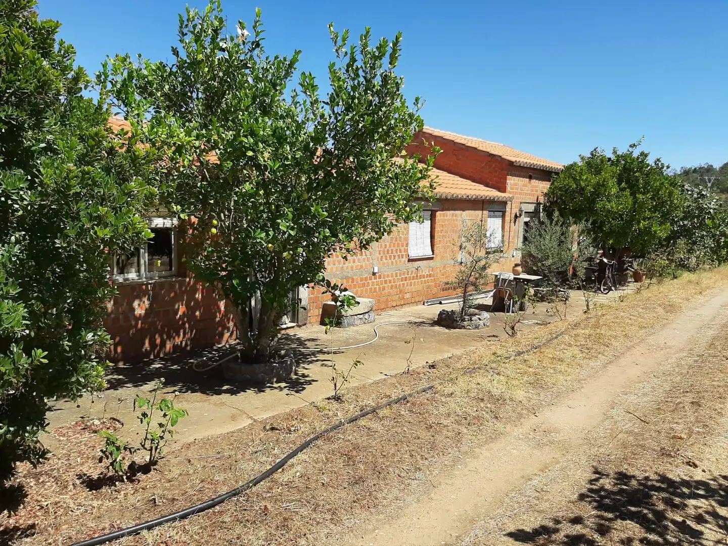 Finca rústica en venta en Jerte