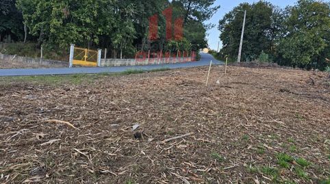 CONJUNTO DE PARCELAS EN LA ZONA DE MOREIRAS, PRÓXIMA A LA VALENZÁ., imatge 2