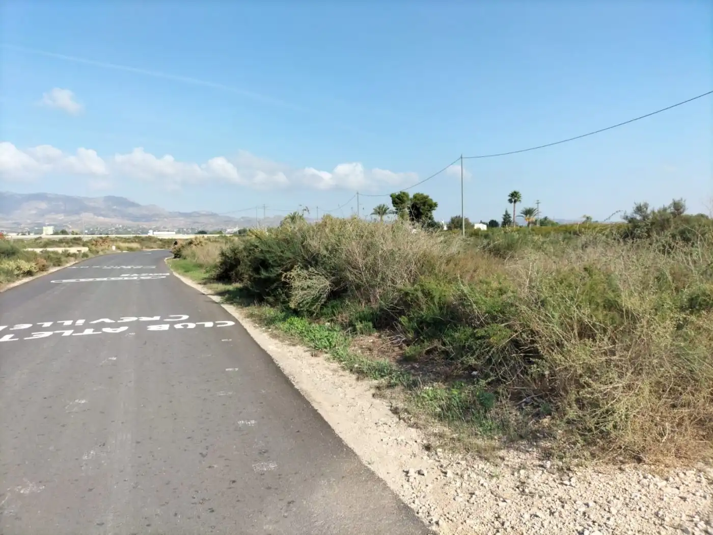 Terreno rustico in vendita a Crevillent
