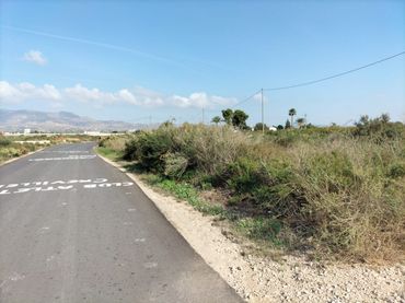 Rural land for sale in Crevillent