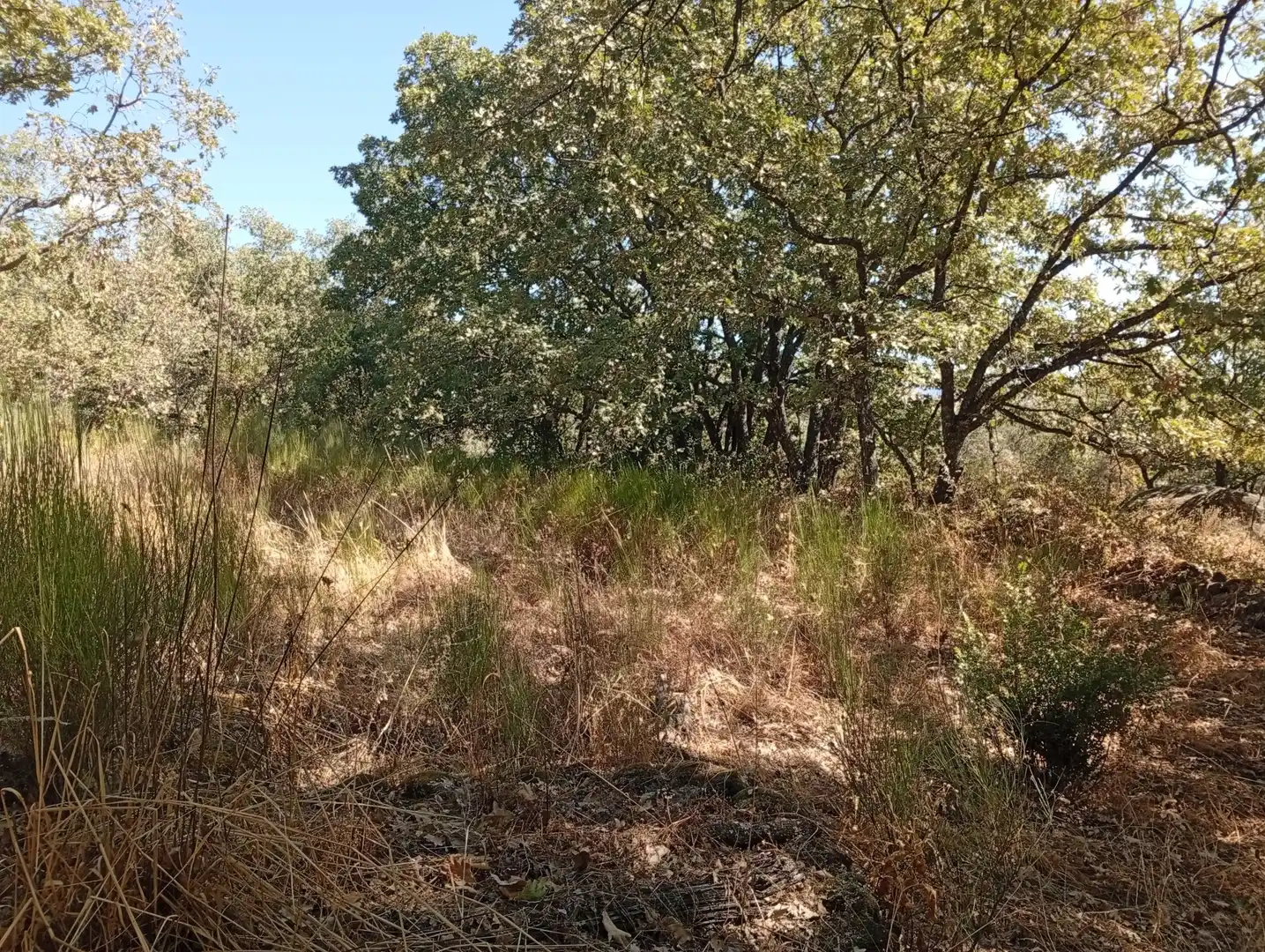 Terreni e lotti in vendita a Villanueva de la Vera, imagen 54
