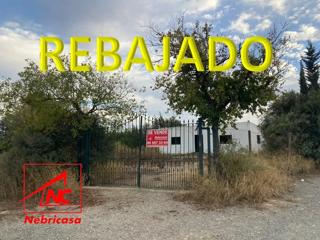 Terrenos y solares en venta en Las Cabezas de San Juan